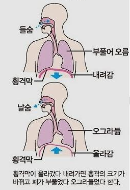 횡격막 호흡법 소개 2
