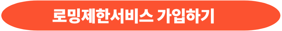 KT 로밍제한 서비스