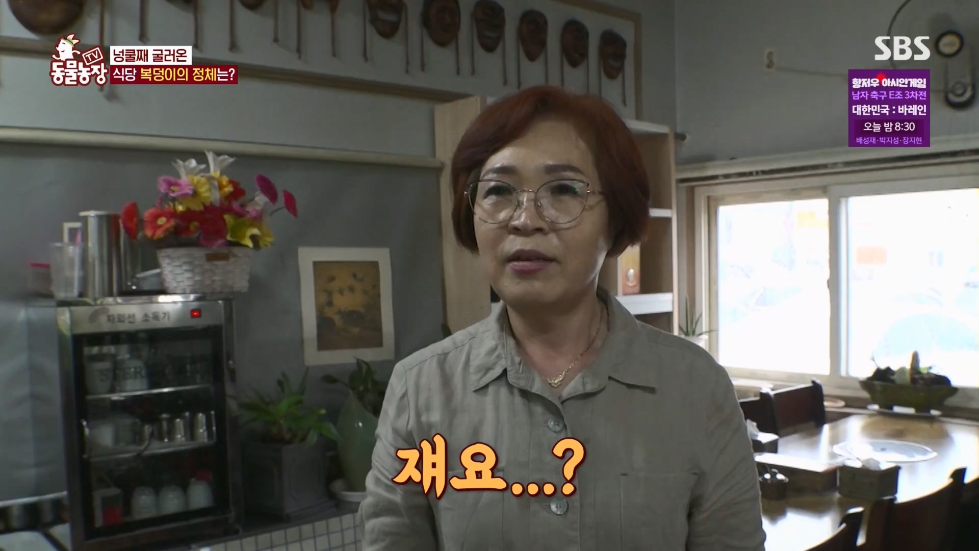 TV 동물농장.E1139.230924p.H264-F1RST.mp4_20230924_172331.443.jpg