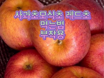 사과초모식초-부작용-먹는법