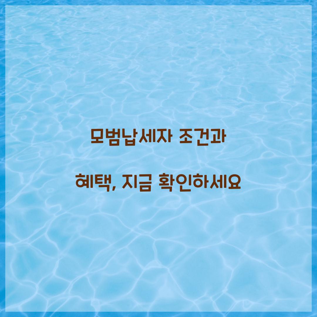모범납세자 조건