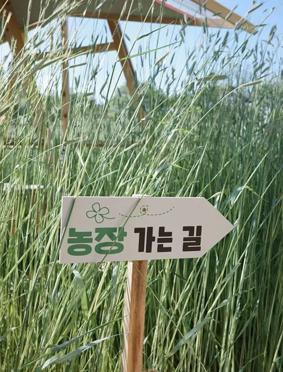 양구농사꾼
