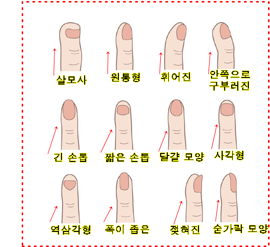  손톱으로 보는 운세나 성격
