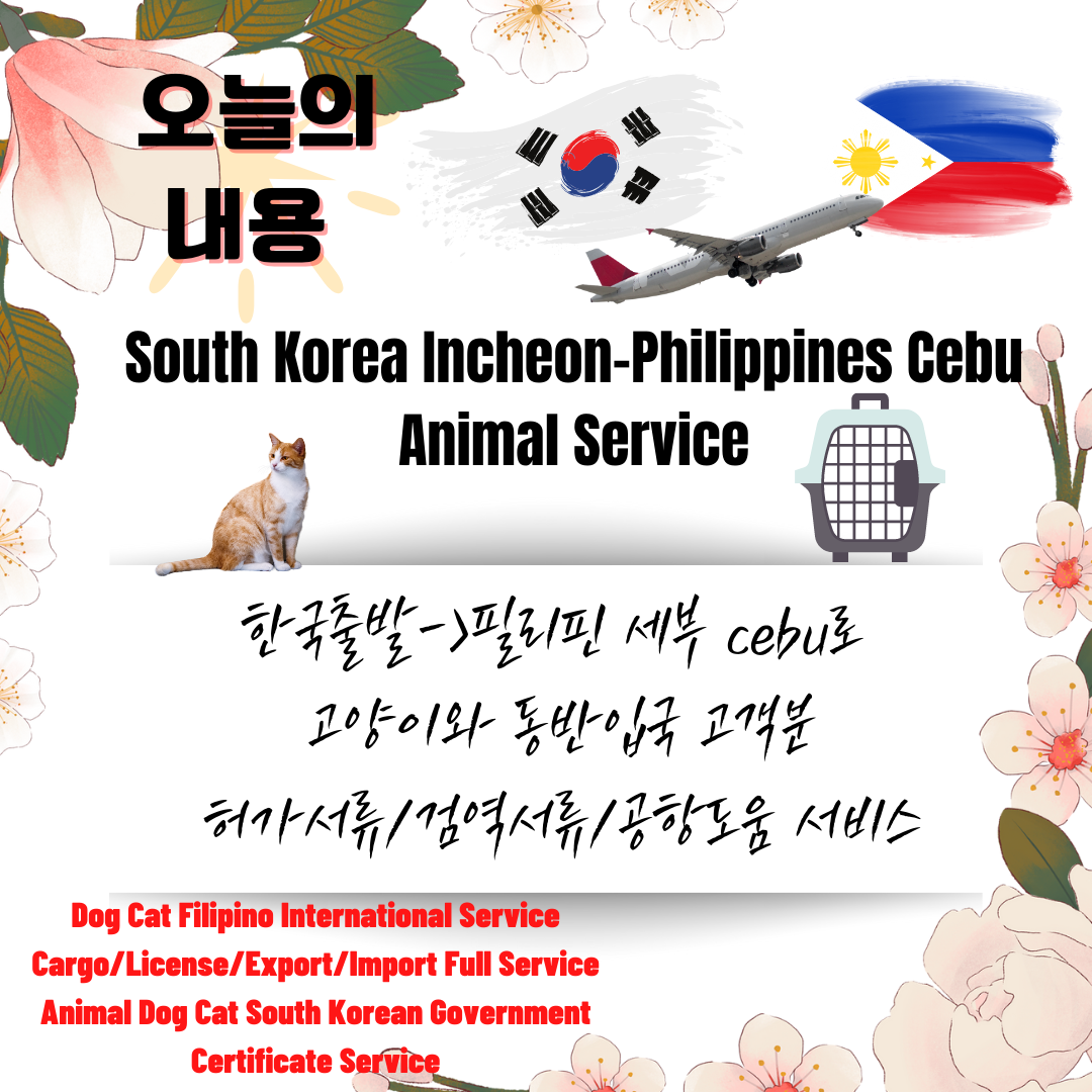  반려동물 반려견 강아지 고양이 필리핀 세부 출국 강아지해외운송 고양이해외운송 반려견해외운송 단두종해외운송 대형견해외운송 Dog Cat Foreigner Departure Service 강아지검역 고양이검역 강아..