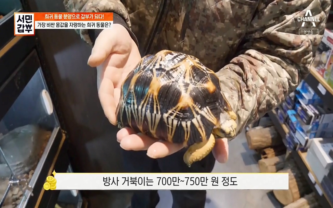 서민 갑부.E381.220431p-NEXT.mp4_20220501_174515.221.jpg