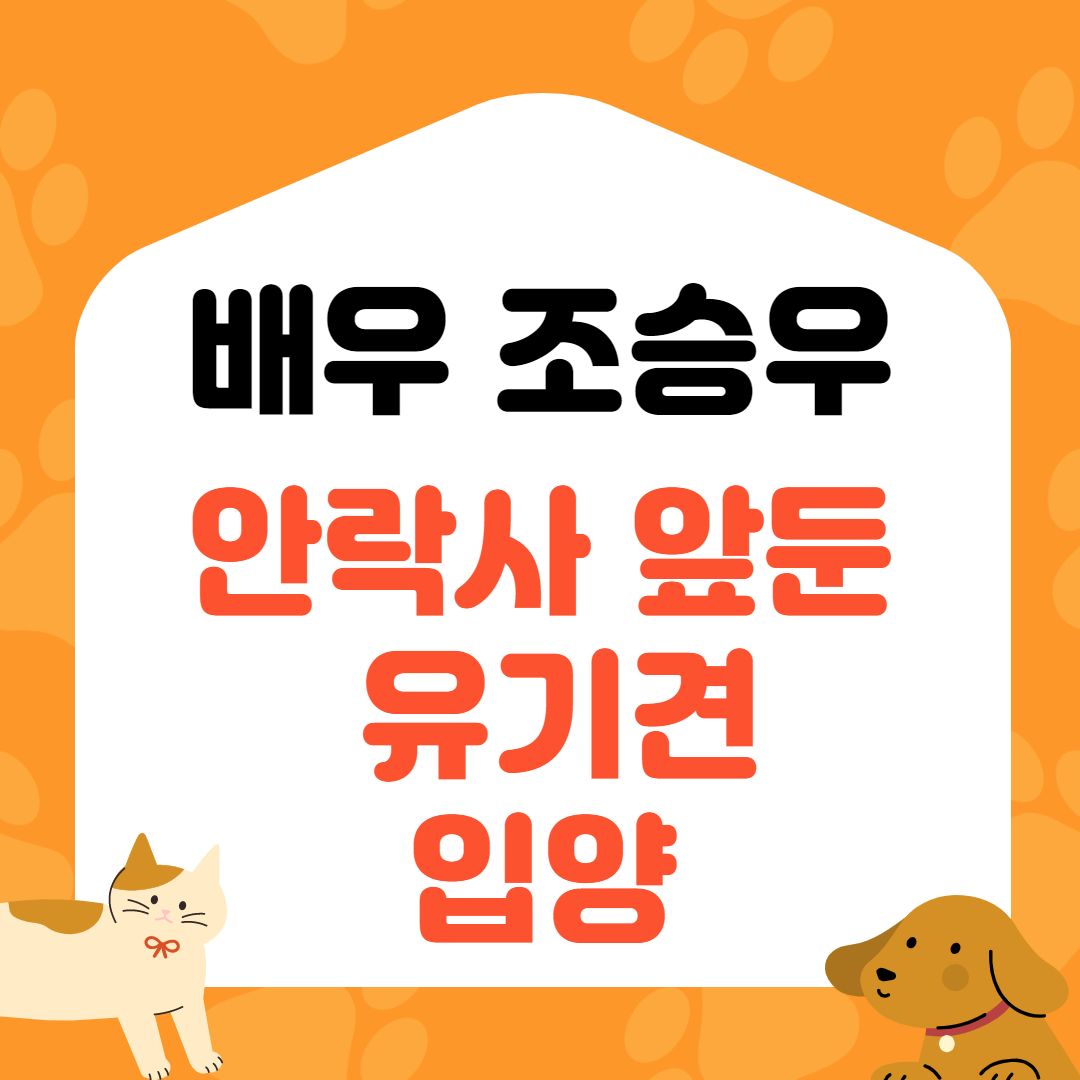  배우 조승우 안락사 앞둔 유기견 곰자 입양