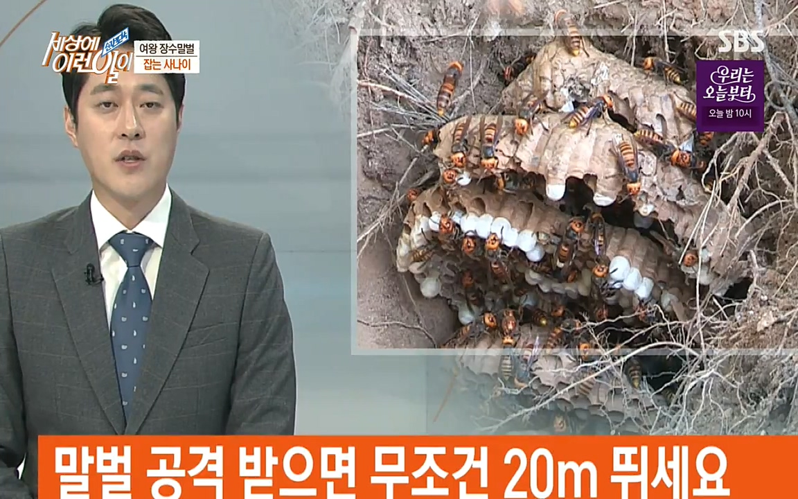 순간포착 세상에 이런일이.E1180.220518p-NEXT.mp4_20220518_175914.310.jpg