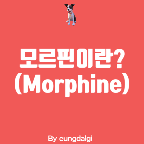  모르핀(Morphine)에 대한 정보성 글