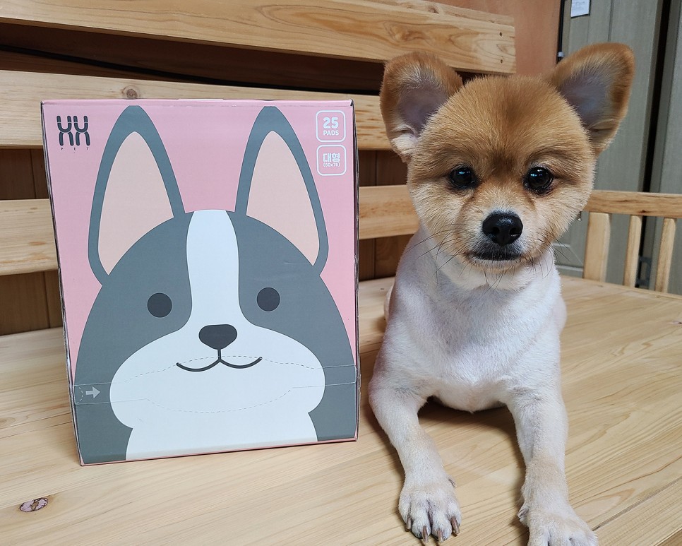 흡수력이 대박이야?이름에 맞는 달라 패드! 개 화장실 패드 1