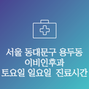 서울 동대문구 용두동 이비인후과 주말 토요일 일요일 문여는 병원 진료시간