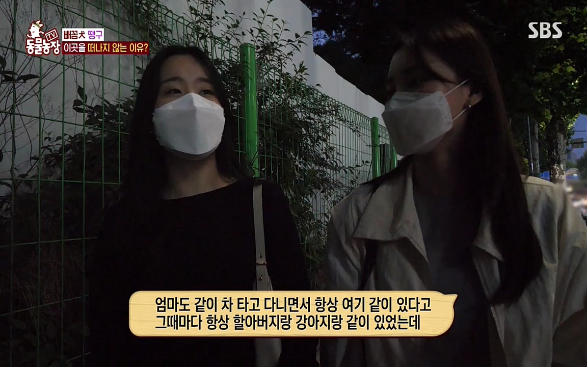 TV 동물농장.E1075.220627p-NEXT.mp4_20220626_175559.636.jpg
