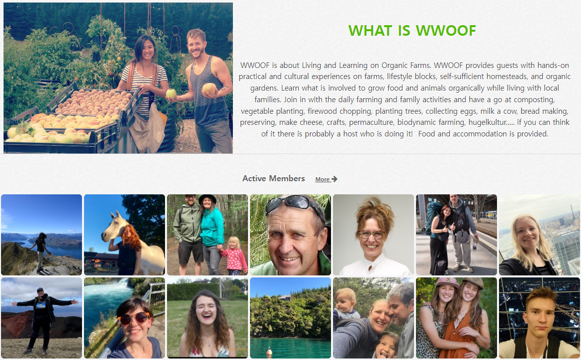 뉴질랜드 워킹홀리데이 관광비자 우프(WWOOF) 가입 방법