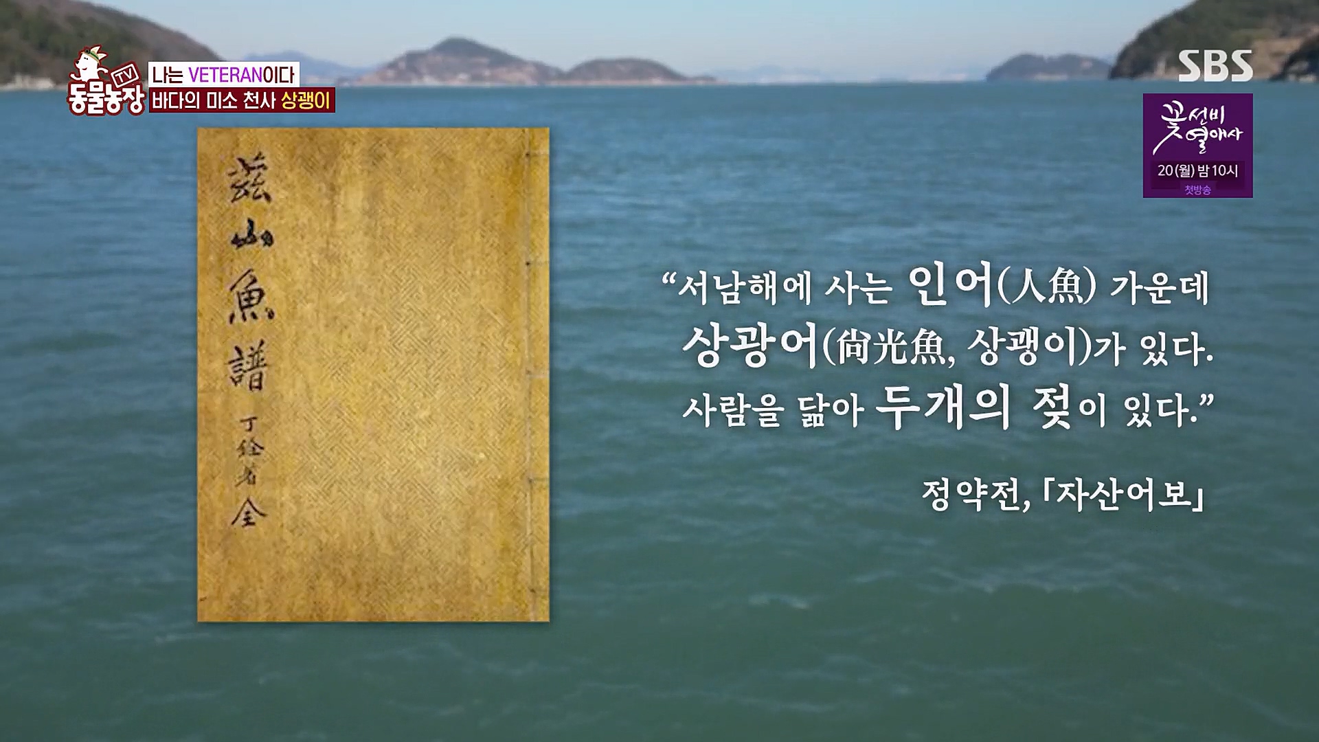 TV 동물농장.E1111.230312p.H264-F1RST.mp4_20230312_175137.381.jpg