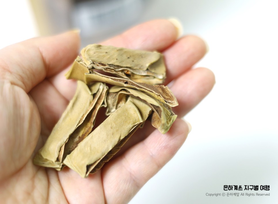 비염에 좋은 음식.차 먹어요 작두콩차 효능 알고 비염에 좋은 음식.차 먹어요 작두콩차 효능 알고