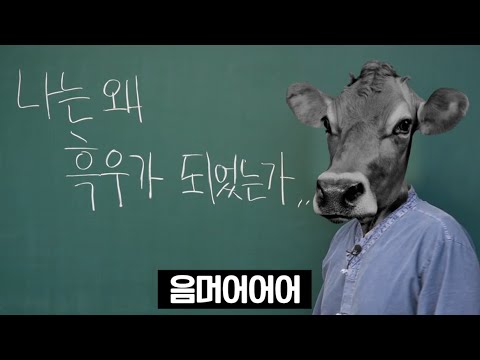  누가 인터넷가입으로 요금호구라 불리고 사은품에 흑우가 되는가? 1644-4855