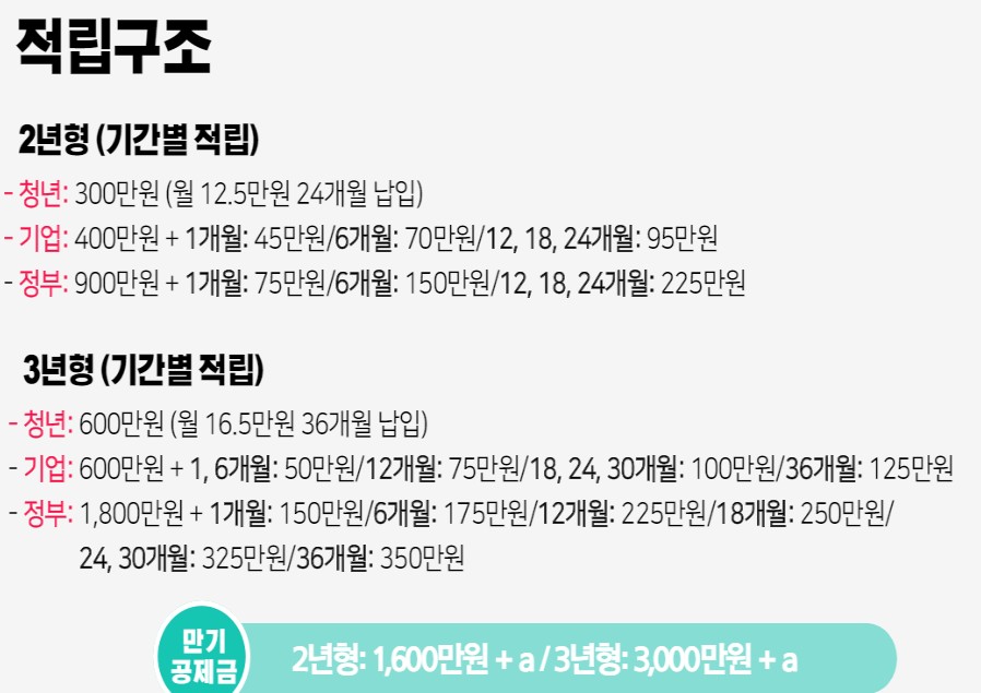  2021년 청년내일채움공제 지원대상 지원내용 뭘까?