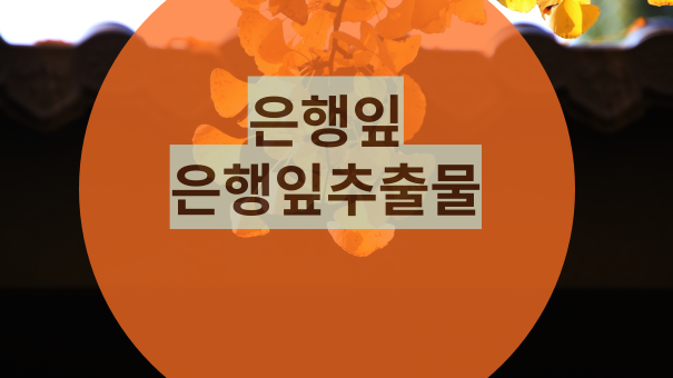  은행잎추출물 효능 및 권장량 좋은 은행잎추출물 제품 고르는 법