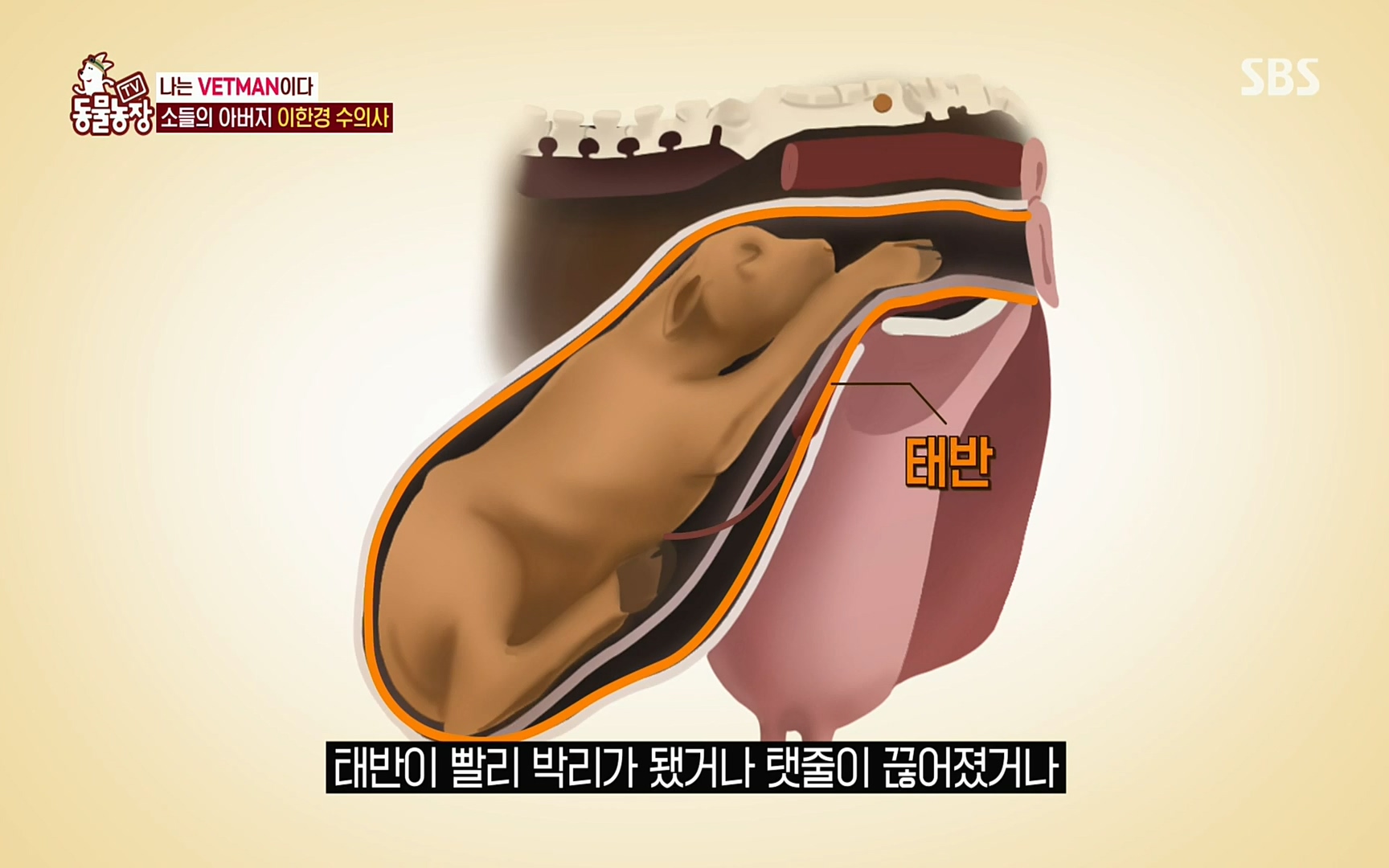 TV 동물농장.E1069.220515p.H264-F1RST.mp4_20220515_180012.702.jpg