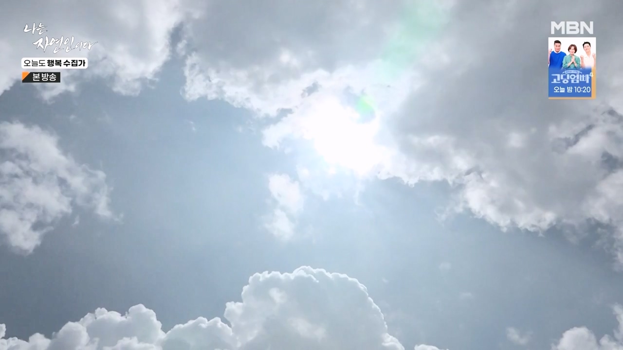 나는 자연인이다.E578.231102p-NEXT.mp4_20231102_202935.732.jpg