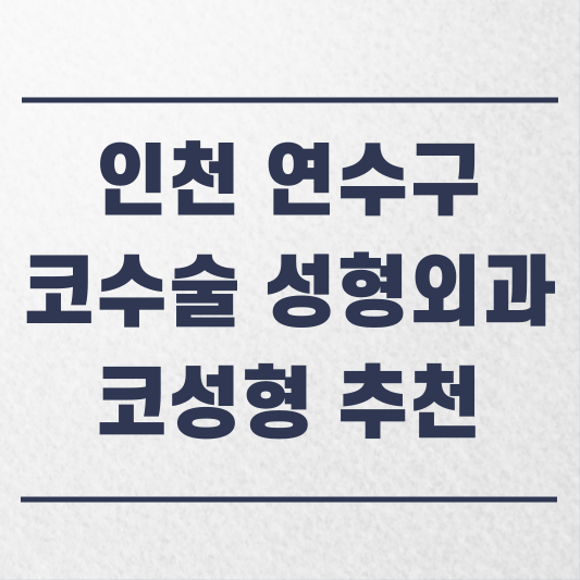 인천 연수구 코수술 성형외과 추천 코성형 잘하는 곳 가격 비용 금액 후기.png