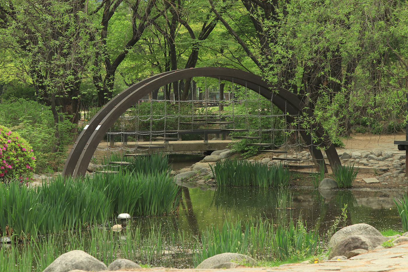 주말 서울숲 튤립 개화 현황… 7