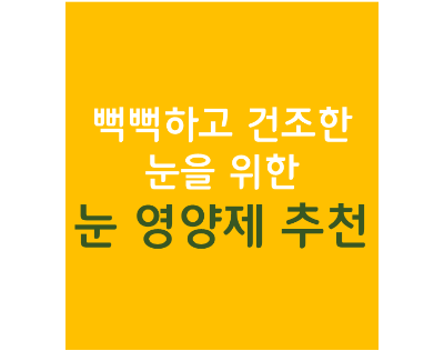  뻑뻑하고 건조한 눈을 위한 눈 영양제 추천