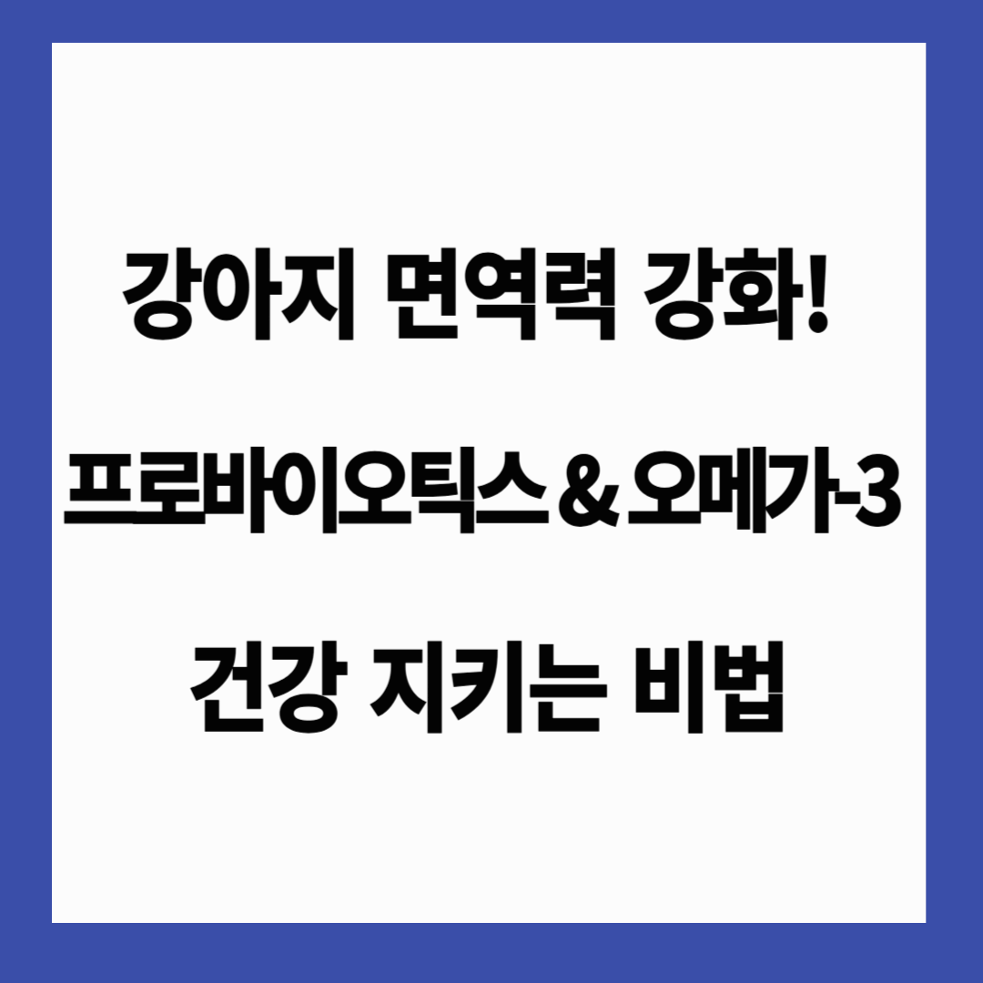 🐶 강아지 면역력 강화! 프로바이오틱스 &amp; 오메가-3로 건강 지키는 비법