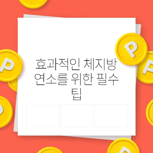 효과적인 체지방 연소를 위한 필수 팁