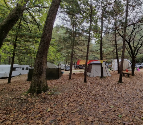 전국-저렴한-싼-가성비-캠핑장-리스트-모음-추천-야영장-3만원-이하-가격싼-서울-근교-가까운-인근-경기-경기도-충북-충남