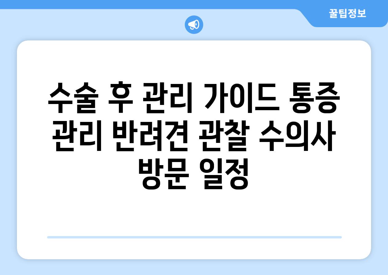 수술 후 관리 가이드 통증 관리 반려견 관찰 수의사 방문 일정