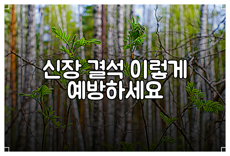 신장 결석 이렇게 예방하세요