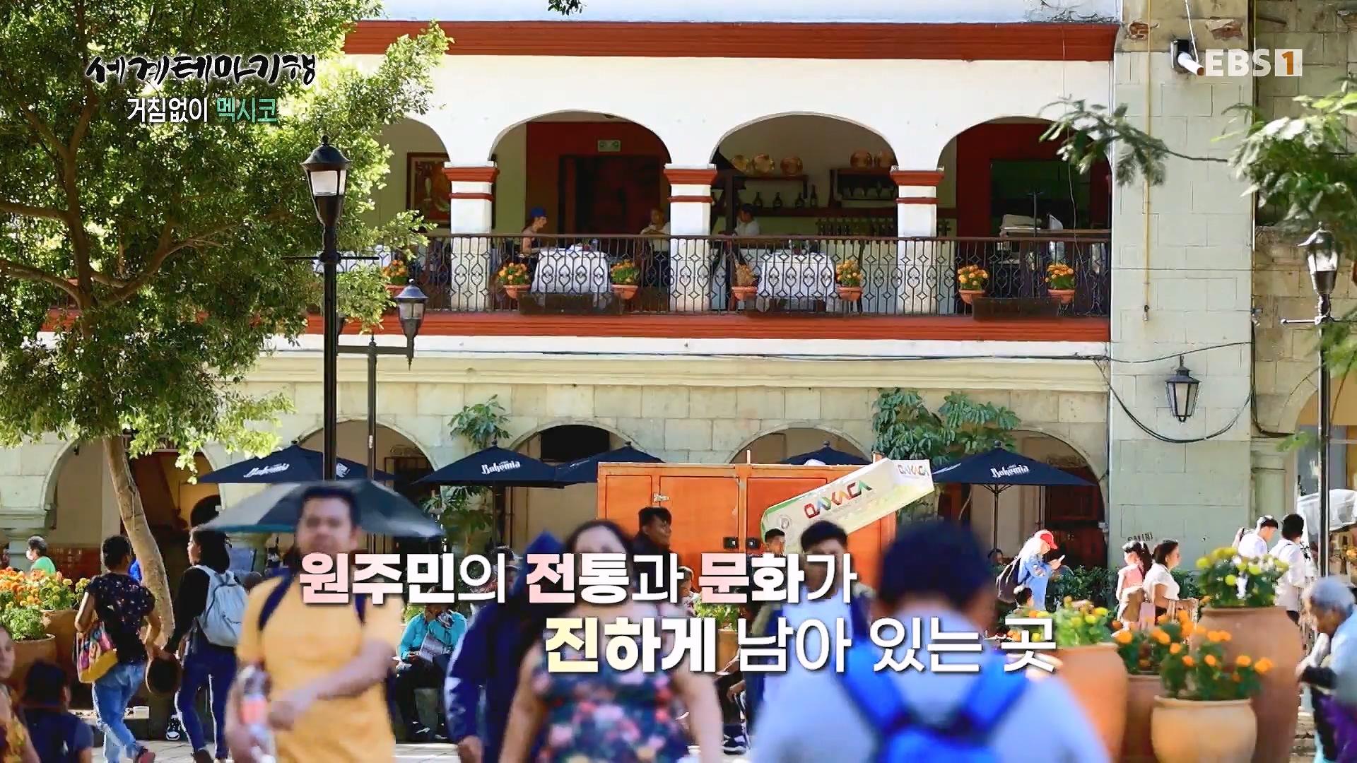 세계테마기행 240110 거침없이 멕시코 -맵다 매워 삐까삐까, 오아하카0p.mp4_20240713_163404.955.jpg