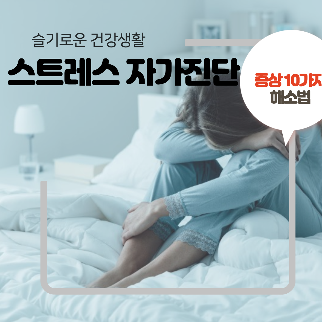  스트레스 자가진단 테스트 : 증상 및 해소법