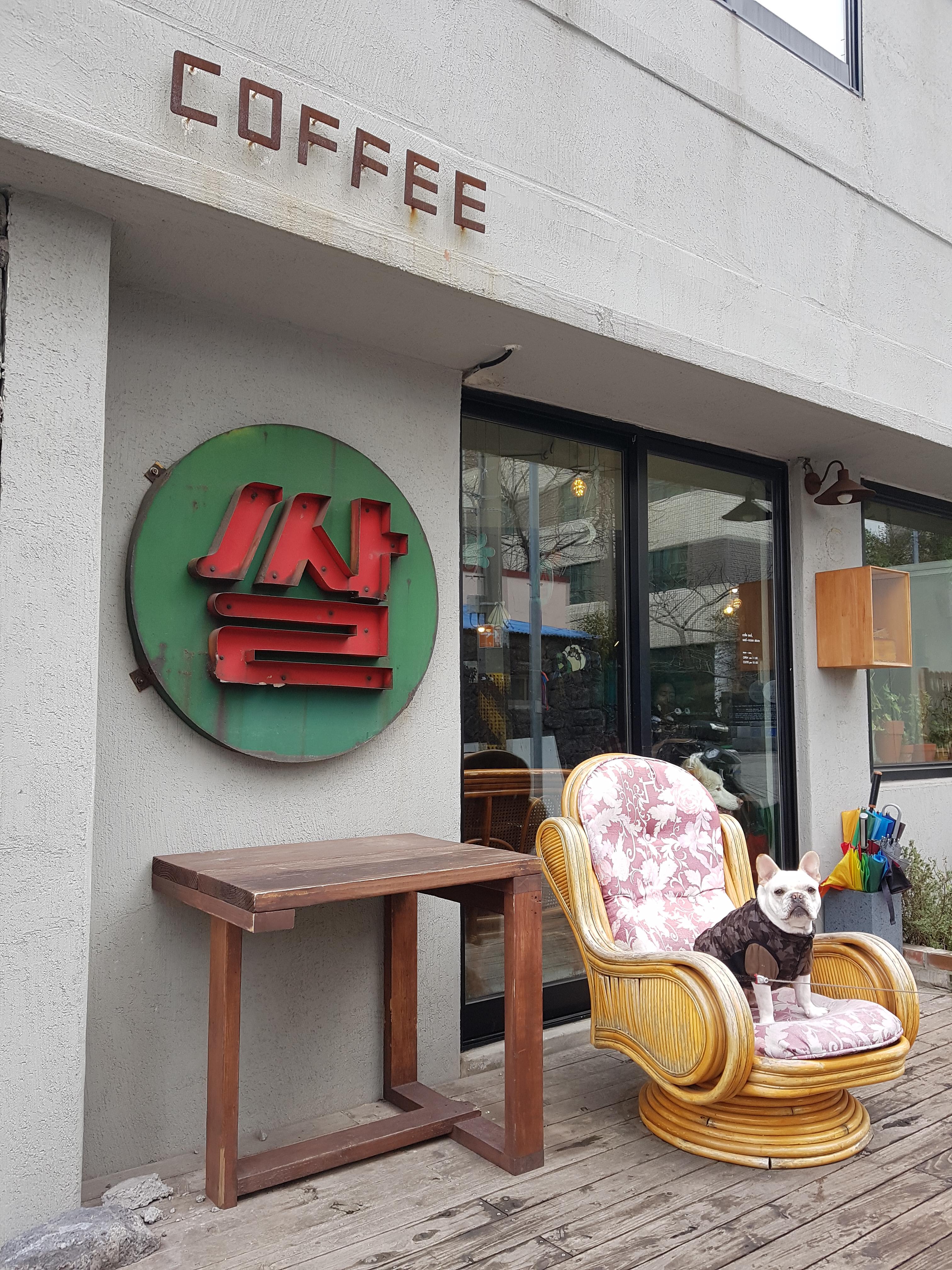  반려견 만두와 제주도_여행_3일차_쌀다방&김만복김밥