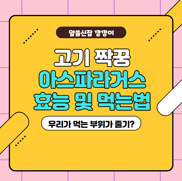 아스파라거스의 효능 및 먹는법 정리!
