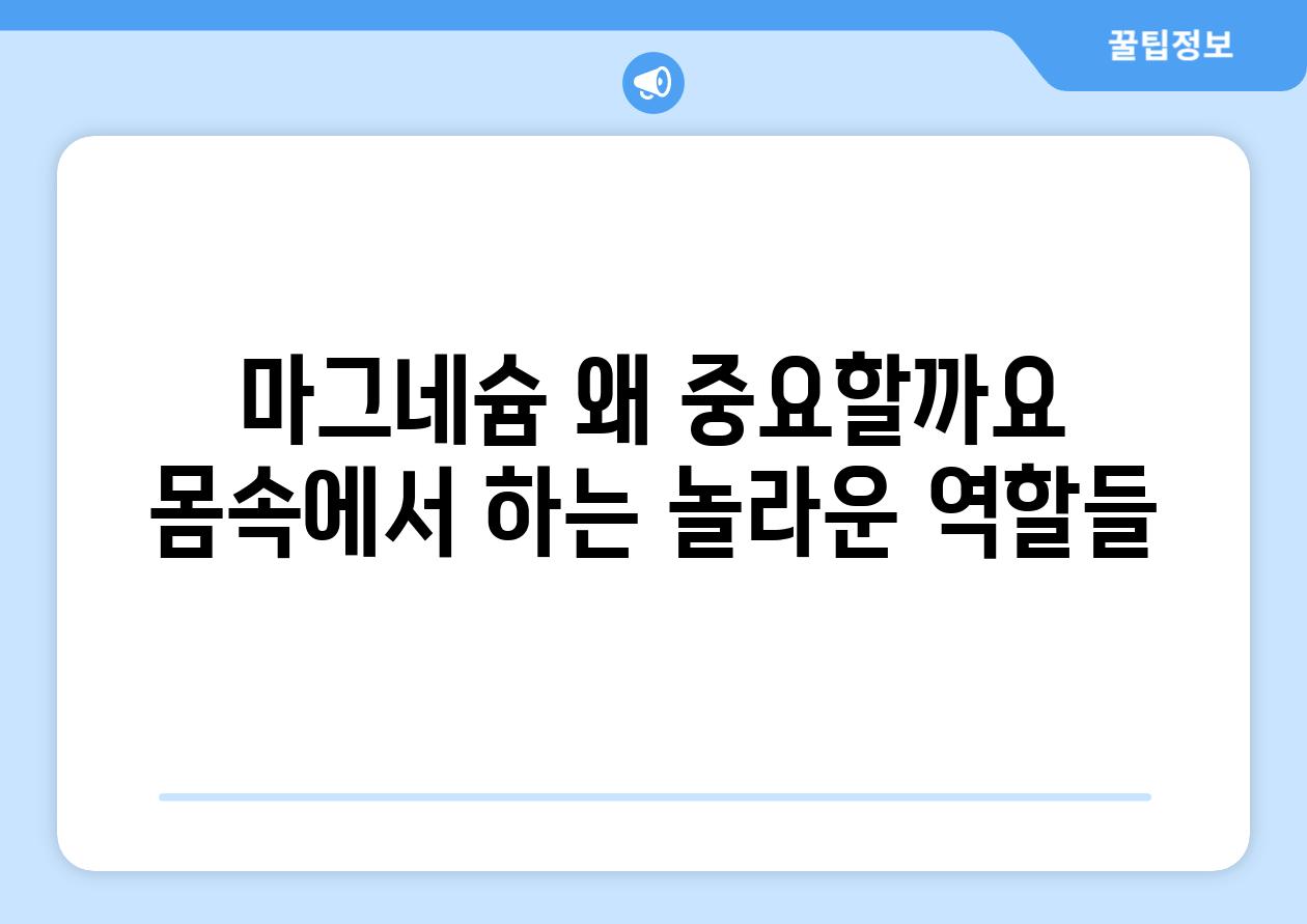 마그네슘 왜 중요할까요 몸속에서 하는 놀라운 역할들