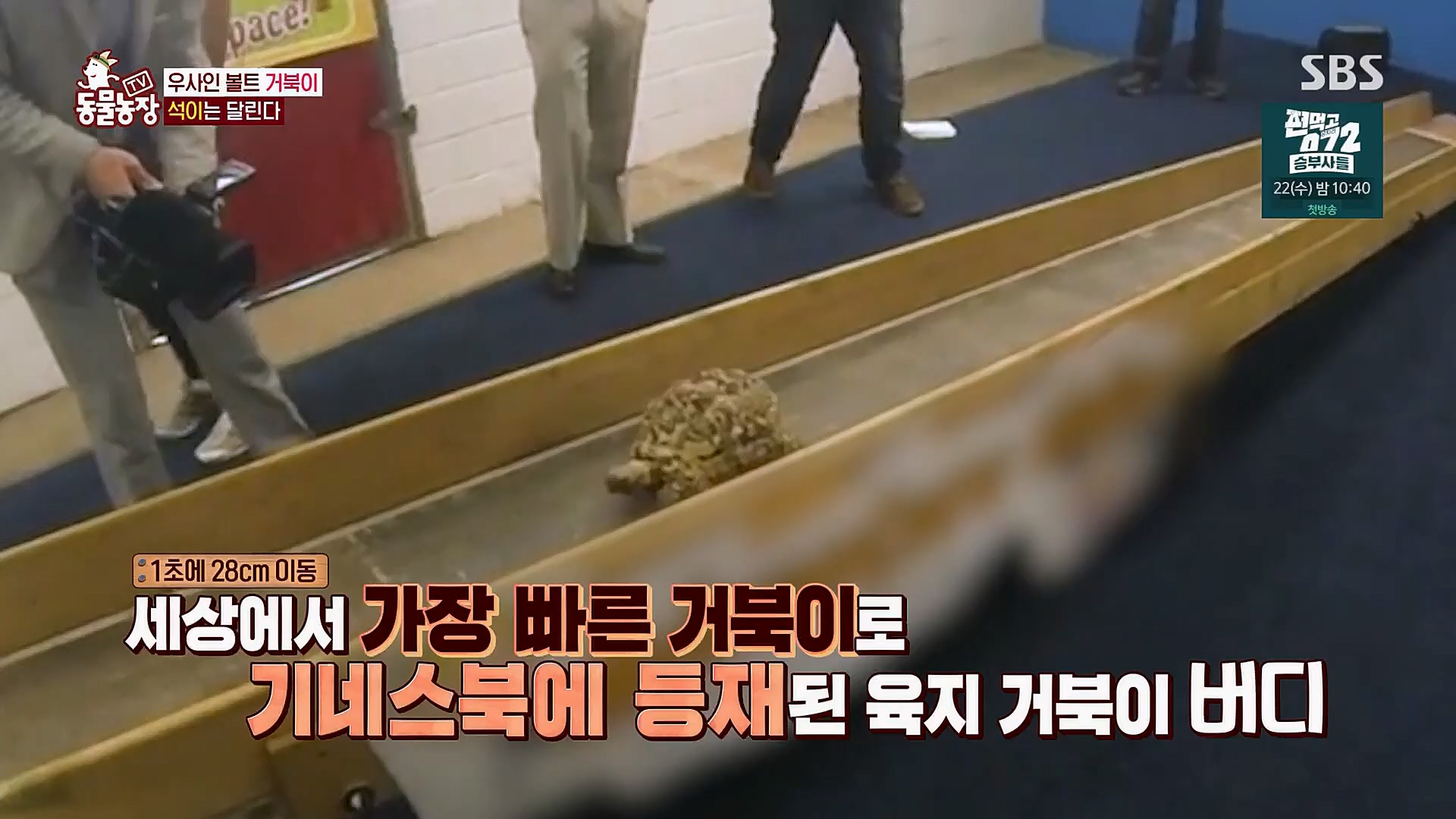 TV 동물농장.E1112.230319p.H264-F1RST.mp4_20230319_175205.821.jpg