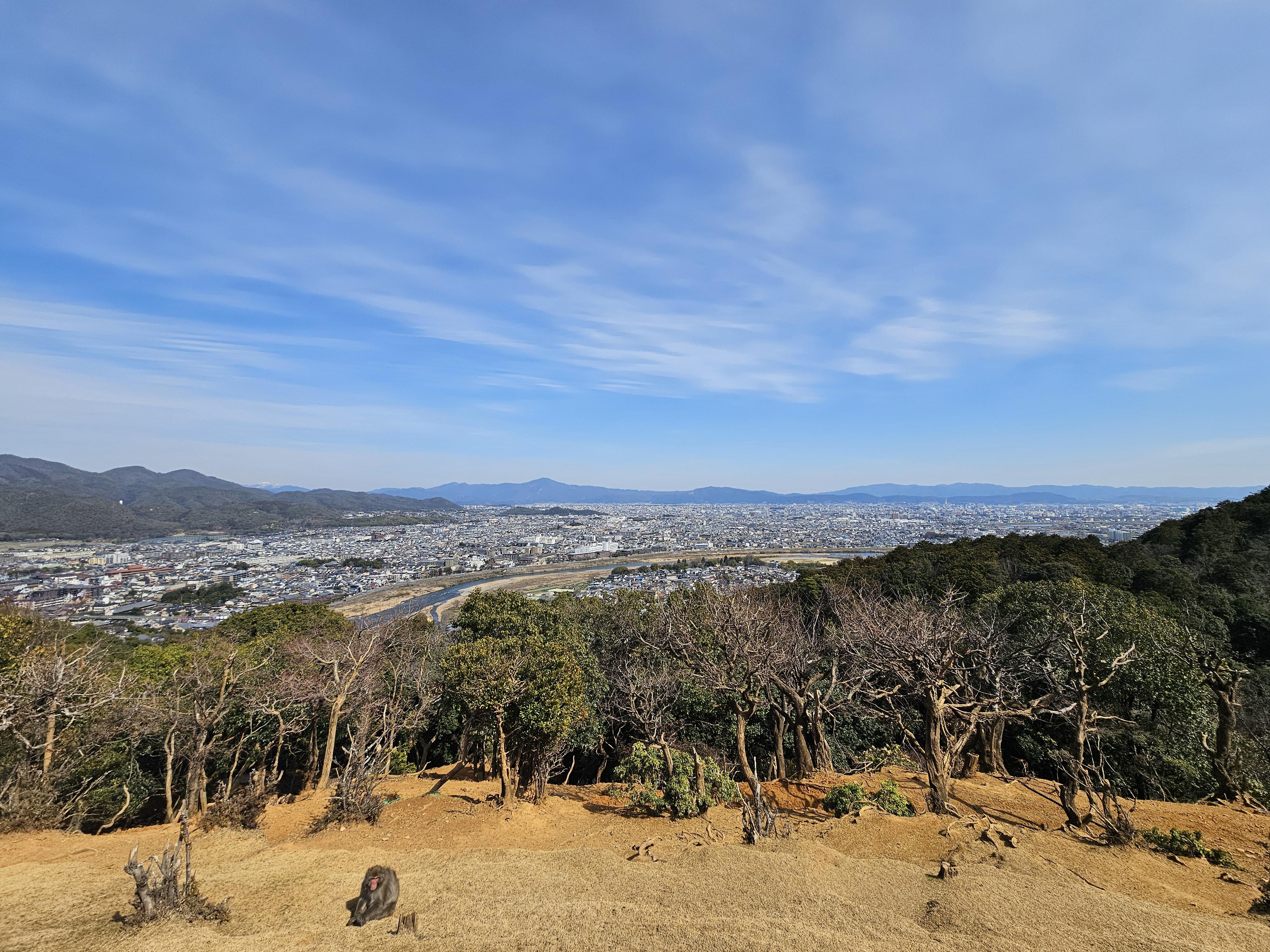 아라시야마 몽키파크