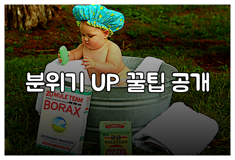 분위기 UP 꿀팁 공개