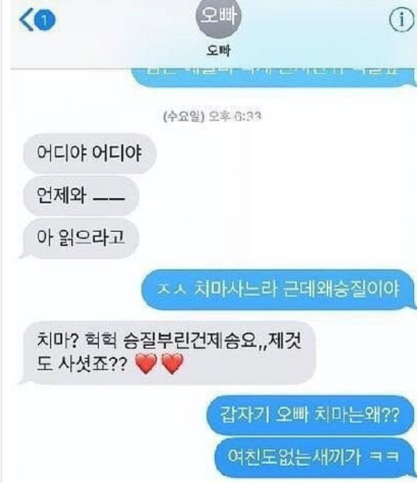  치마를 사달라는 친오빠.jpg