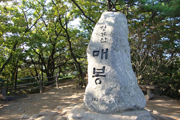  청계산 등산코스 그리고 맛집