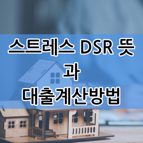 스트레스 dsr뜻과대출계산방법