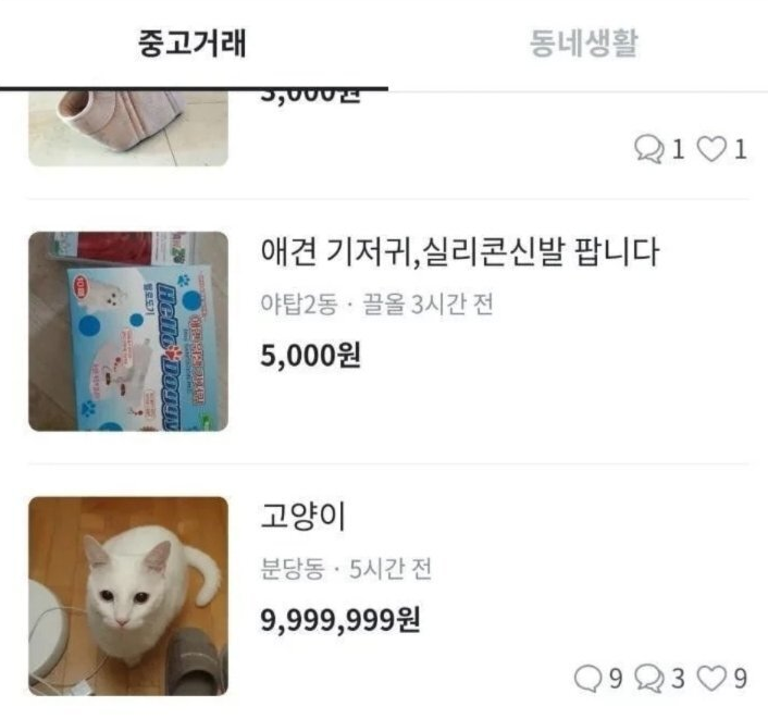  당근마켓에 천만원 짜리가?