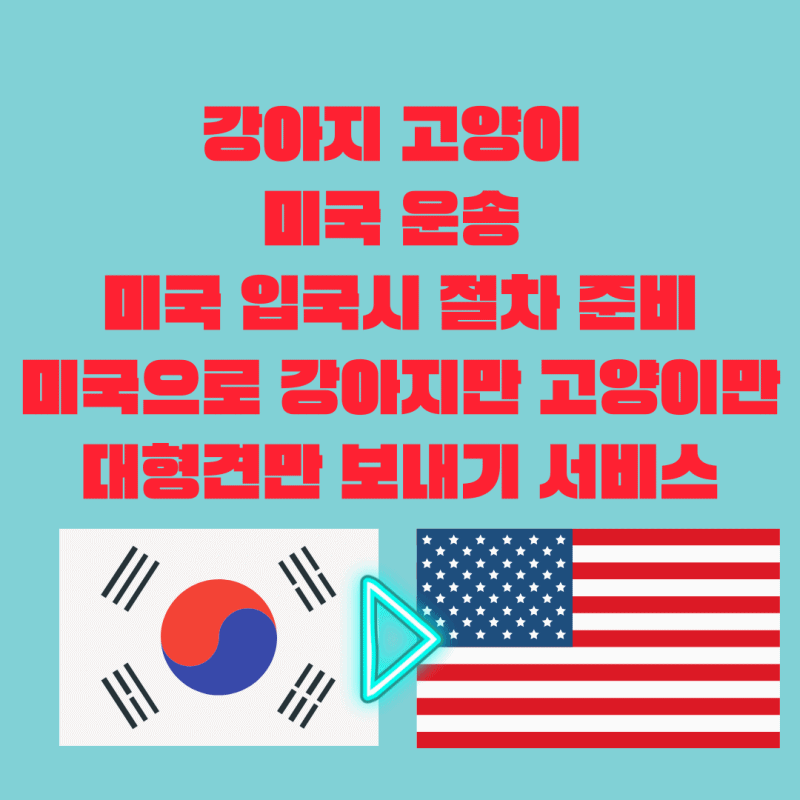  강아지 해외검역 규정 동물검역규정 고양이해외출국 강아지해외출국 반려동물해외출국 반려동물해외운송 미국강아지입국규정 USDA 미국CDC 강아지입국 고양이입국 강아지검역규정 고양이검..