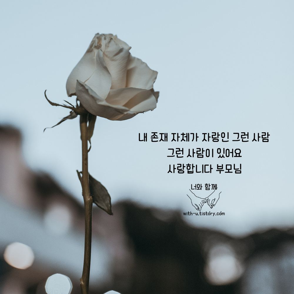  자랑 명언 : 짧고 좋은 글귀 : 짧은 명언