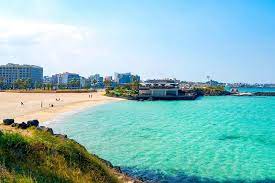 제주도 사진
