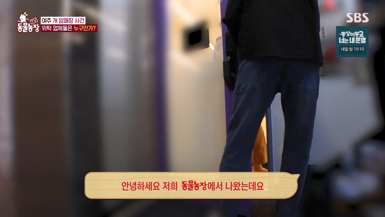 TV 동물농장.E1122.230529p-NEXT.mp4_20230528_170304.257.jpg