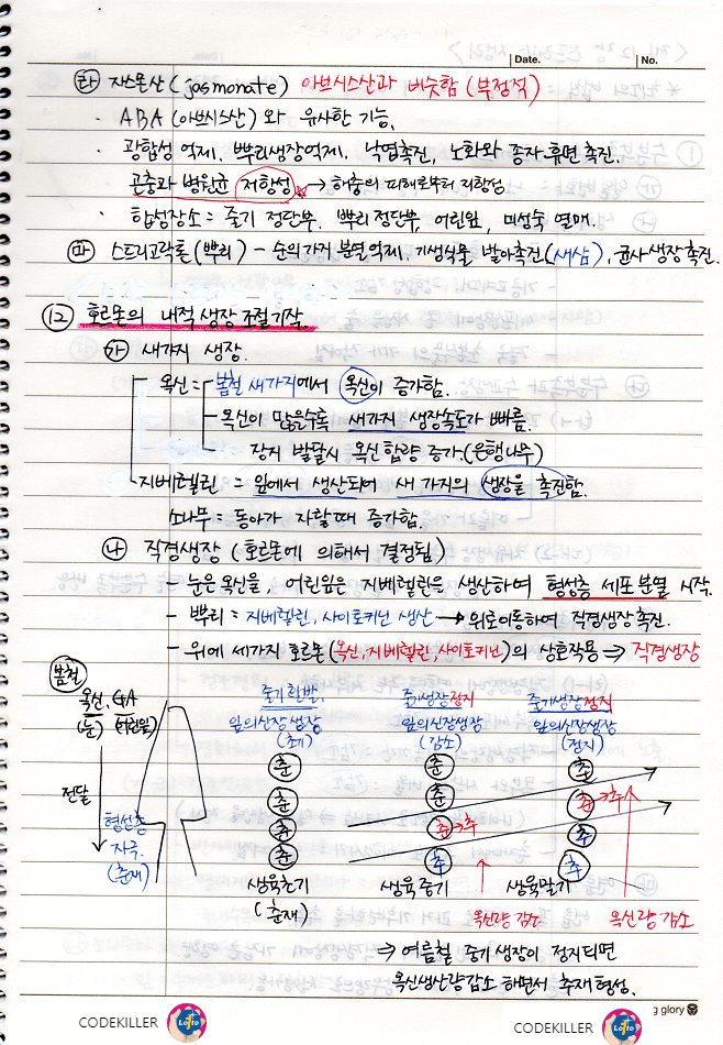  [수목생리학] 호르몬의 내적 생장 조절기작