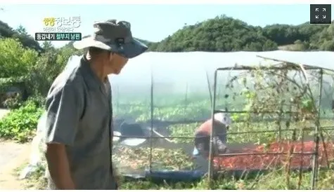 생생 정보통 동갑내기 철부지 남편