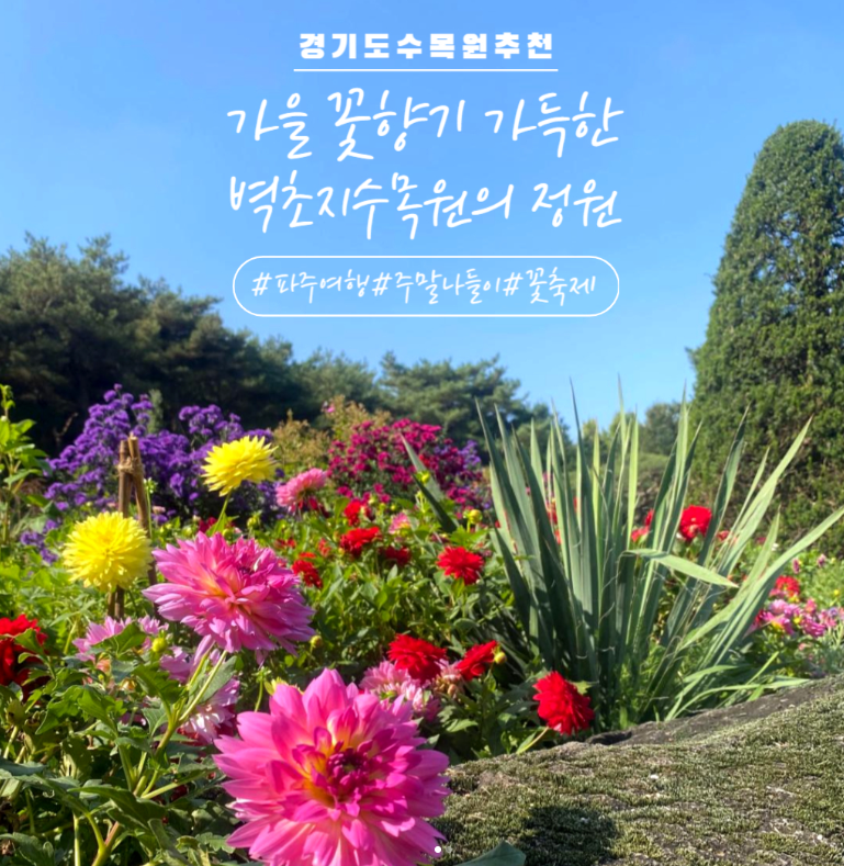 경기도 파주 벽초지수목원 가을꽃 국화축제 데이트 나들이 명소